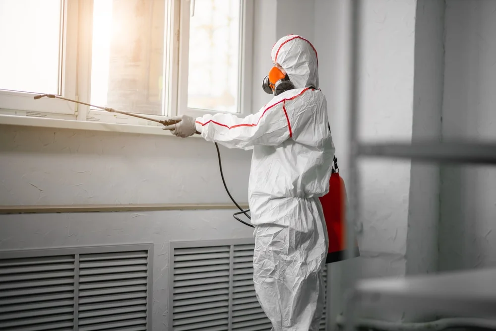 Professional mold remediation services in Suches, GA